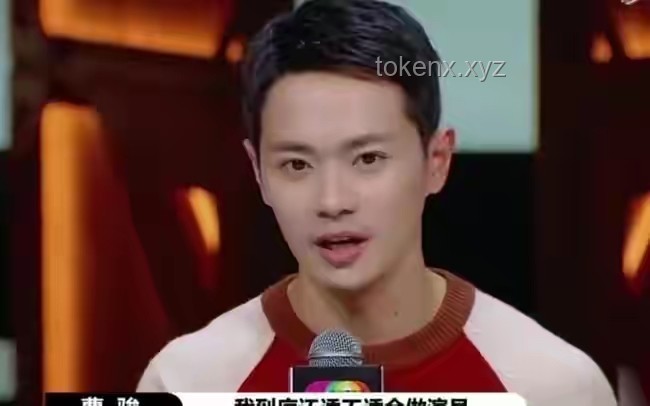 “国家一级演员”光环下的法律警示：陈丽云被逮捕案例解析